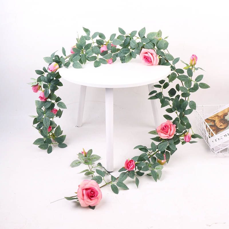 Nouvelle vigne rose rose