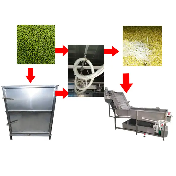 Mung verde di soia germogli di fagioli crescente che fanno di pulizia di lavaggio peeling imballaggio di elaborazione sheller macchina linea di produzione automatica