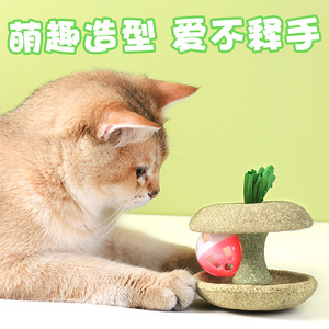 Natural apple Shaped <strong>Catnip</strong> Balls, Cat Tooth Cleaning Toys, Durable <strong>Catnip</strong> Toys - Product Image 4