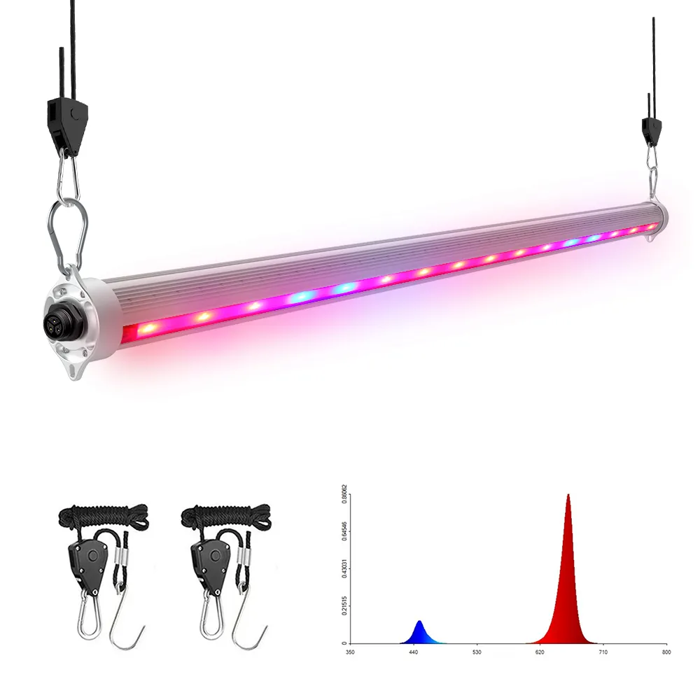 50W 100W 2 côtés 4 côtés interéclairage supplémentaire led lampe de croissance de plantes lampes dans serre phytolamp lampe de croissance