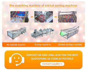 XINLONGJIA Automatic Avocado Onion <strong>Classifying</strong> Sorting Machine Potato Tomato Sorter Grader Blueberry Dates Size Grading Machine - Product Image 4