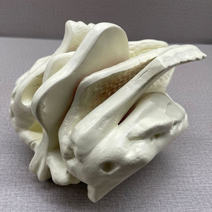 Kyrenmed đầu sọ sàng xương khuếch đại mô hình con người khuếch đại ethmoid mô hình xương 4X Độ phóng đại - Product Image 2