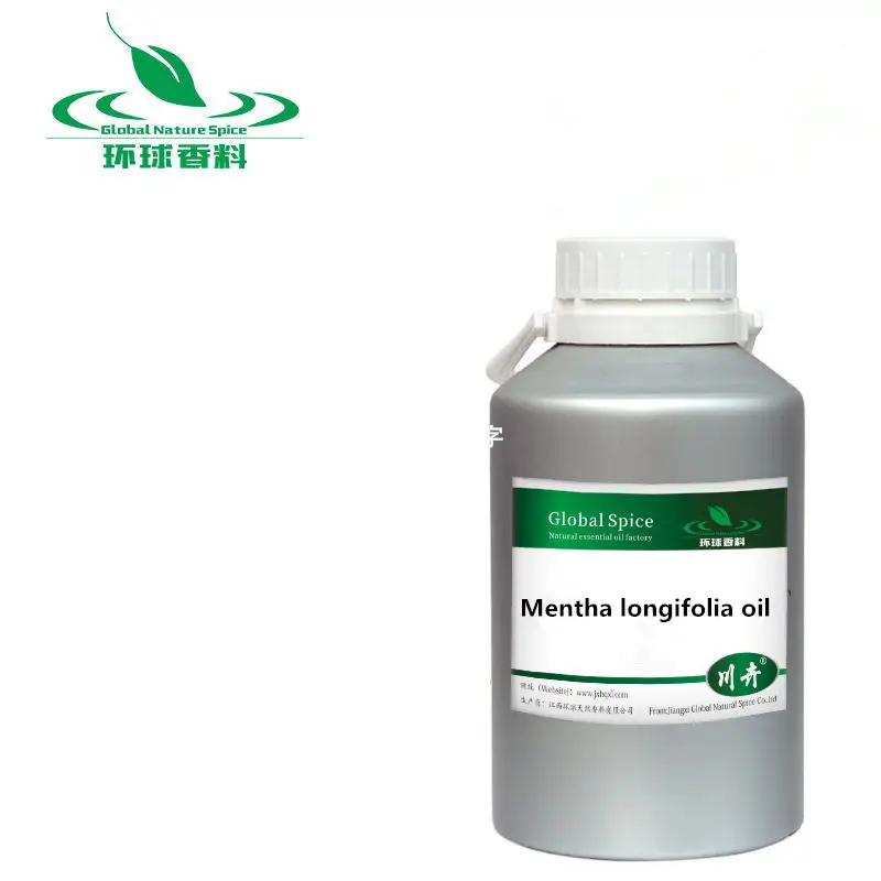 Cavallo olio di menta, Mentha longifolia olio