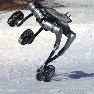 2025 Robot intelligente per cani Vierbeiner up Hund Visuelle Funktionen Durch telecomando intelligente AI robot cane Robot go2 cane