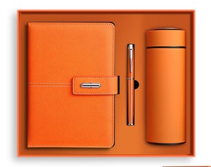Promozionale logo personalizzato attività aziendali thermos cup PU <span class=keywords><strong>Notebook</strong></span> con penna regalo scatola set