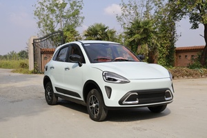 <span class=keywords><strong>2025</strong></span> yüksek hızlı 5-Door elektrikli SUV çin marka sıcak satış <span class=keywords><strong>4</strong></span>-Seater EV lityum pil ile düşük fiyat yeni enerji araç