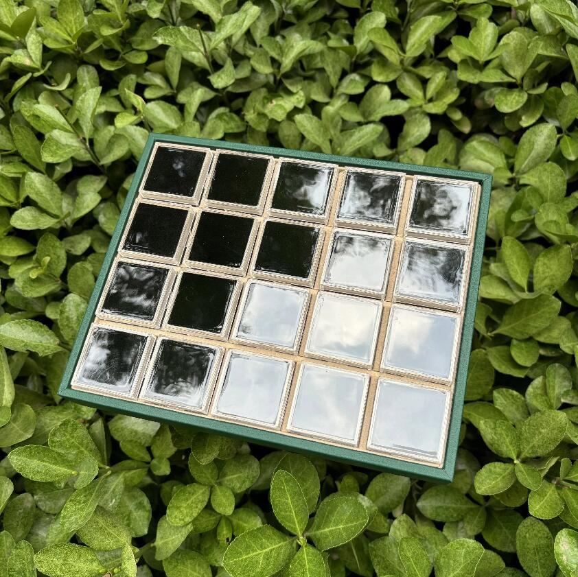 Éponge noire + plateau vert