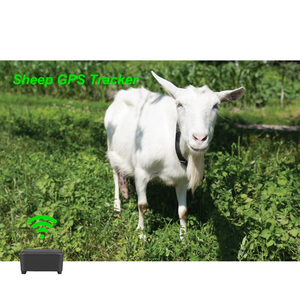 เครื่องติดตาม GPS Sim Card,อุปกรณ์ติดตามตัวป้องกันการสูญหายประเภท-C สำหรับสุนัขแมวสัตว์เลี้ยงใช้กับโชคเกอร์แหวนแจ้งเตือนกันน้ำ45มม.