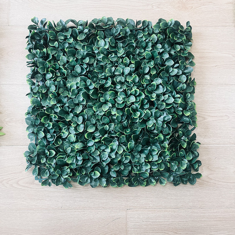 Dark green apple leaves