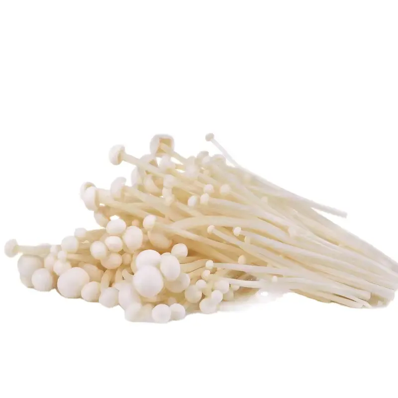 Detan Premium Kwaliteit Fabriek Groeiende Chinese Verse Enoki Champignons Groothandelsprijs