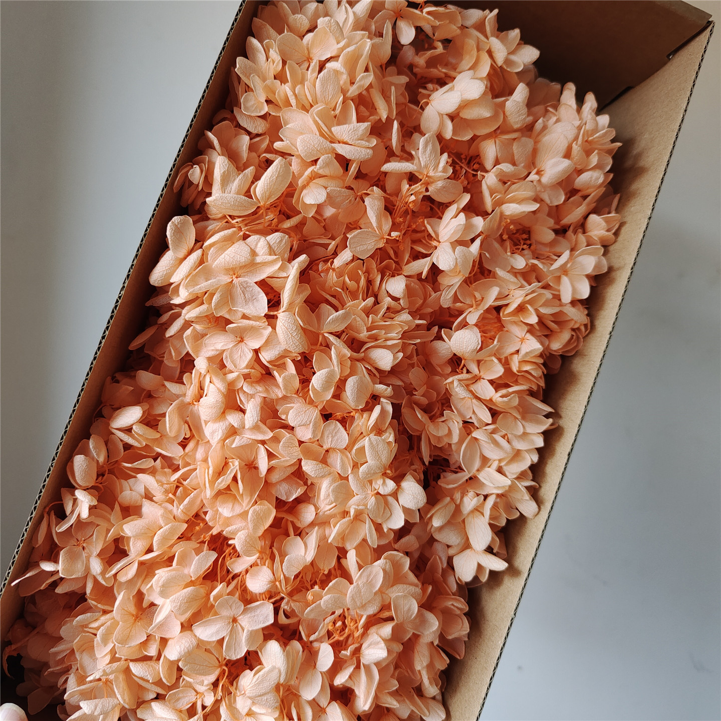 light orange-wooden hydrangea-90-100g per box
