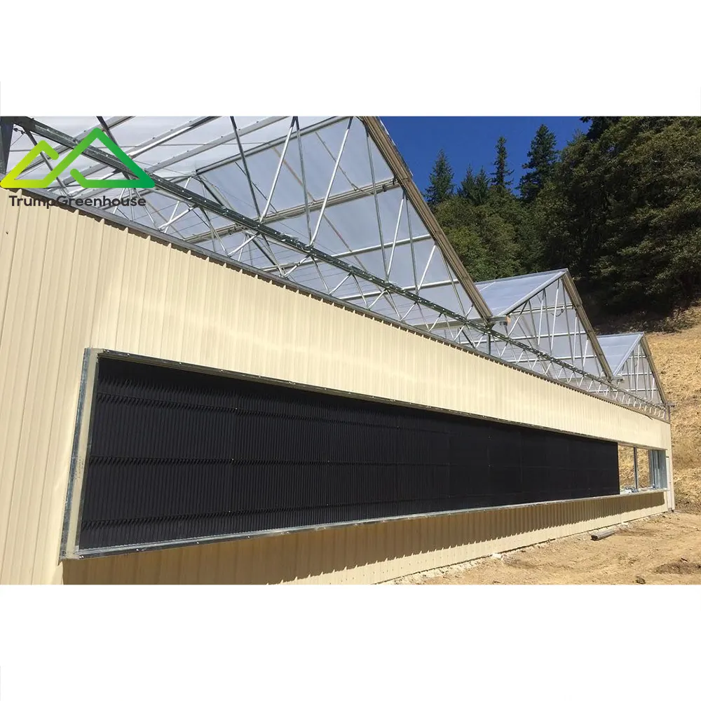 Commercial Single Span Easy Tunnel Blackout Greenhouse 100% Système de privation de lumière d'ombrage Serre avec LED Grow Light