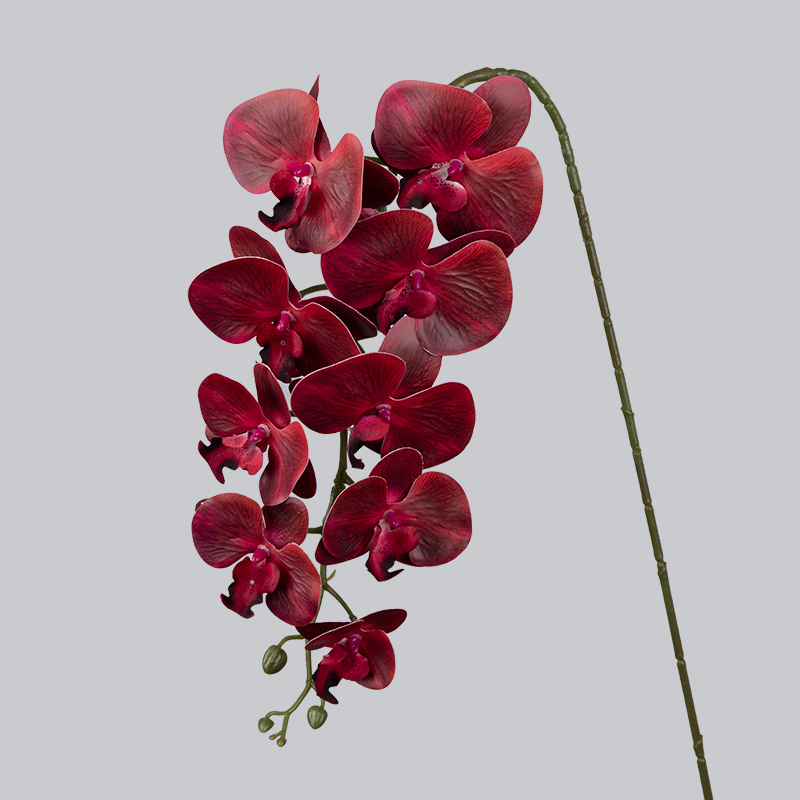 PU 9 Rouge orchidée
