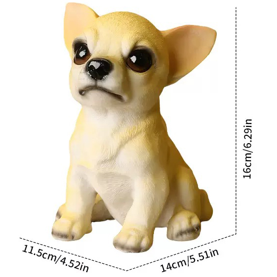 Perro 5