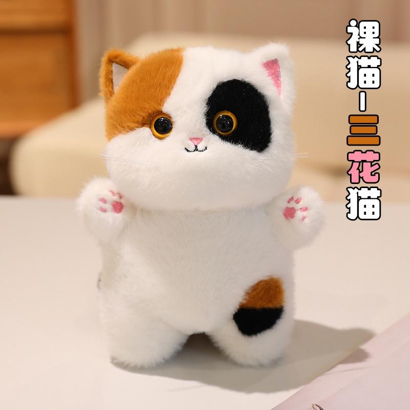 Naked cat - calico cat