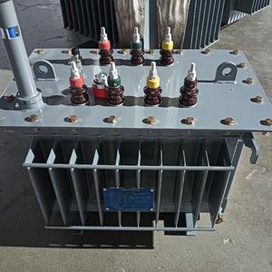 Trasformatore di distribuzione a bagno d'olio 100kVA per progetto di installazione di progetto di elettrificazione rurale 10kV 3 fasi 380V uscita - Product Image 4
