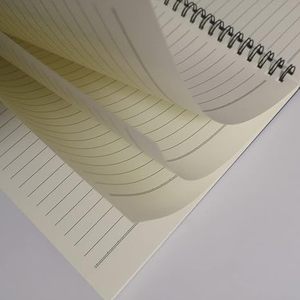 2025 di alta qualità Custom spirale rilegato Agenda Agenda taccuini A4 A5 B5 taglie per gli studenti
