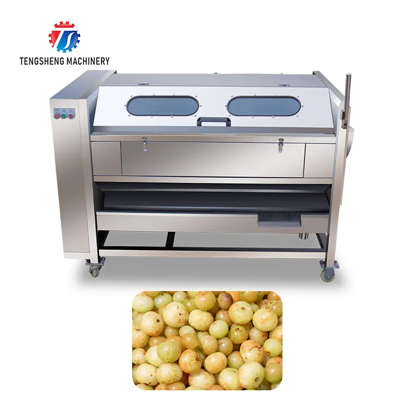 (TS-M600) Descascamento industrial de frutas e vegetais Lavar máquina descascador e lavadora de batatas
