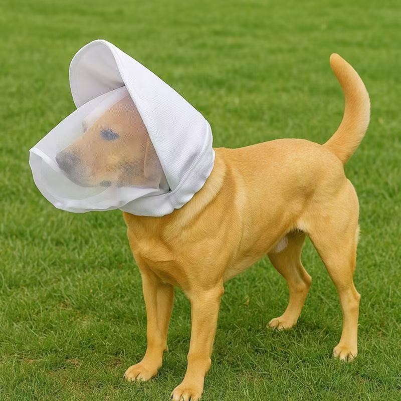 Dog mask