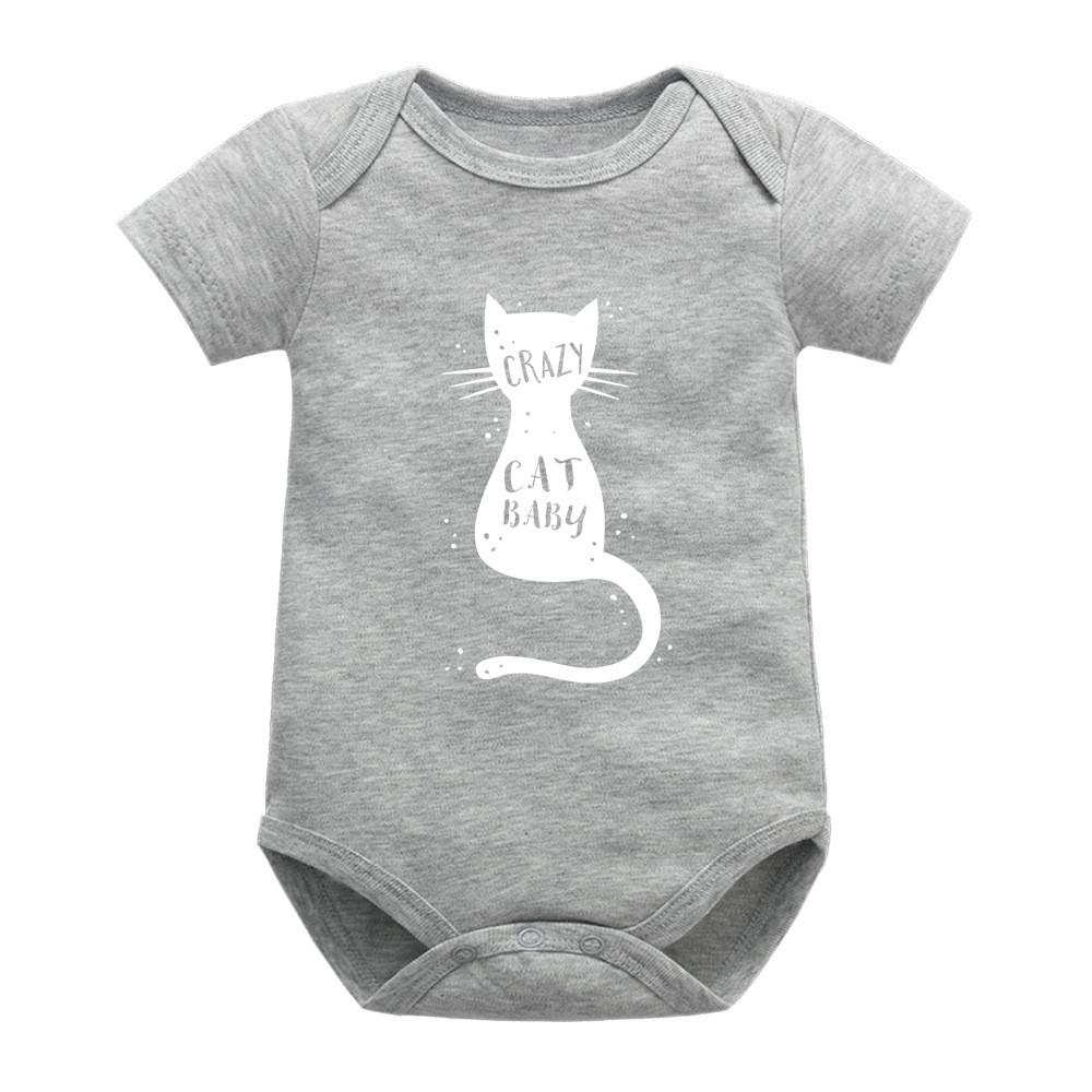 Chat blanc gris ha court