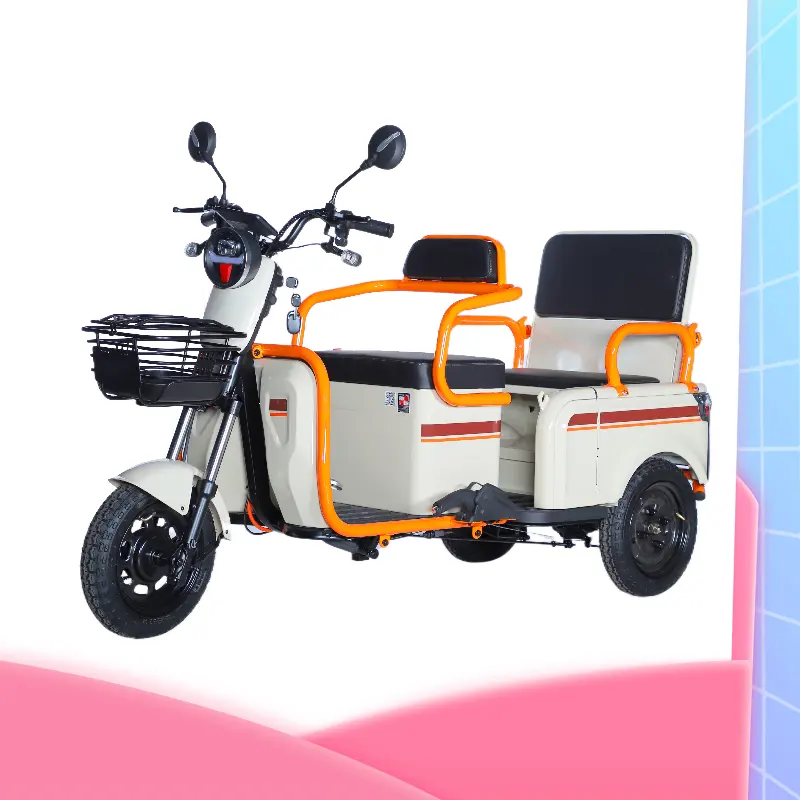 2024new style48v60v72v điện giải trí ba bánh hành khách và hàng hóa dual-hàng điện ba bánh hộ gia đình điện ba bánh