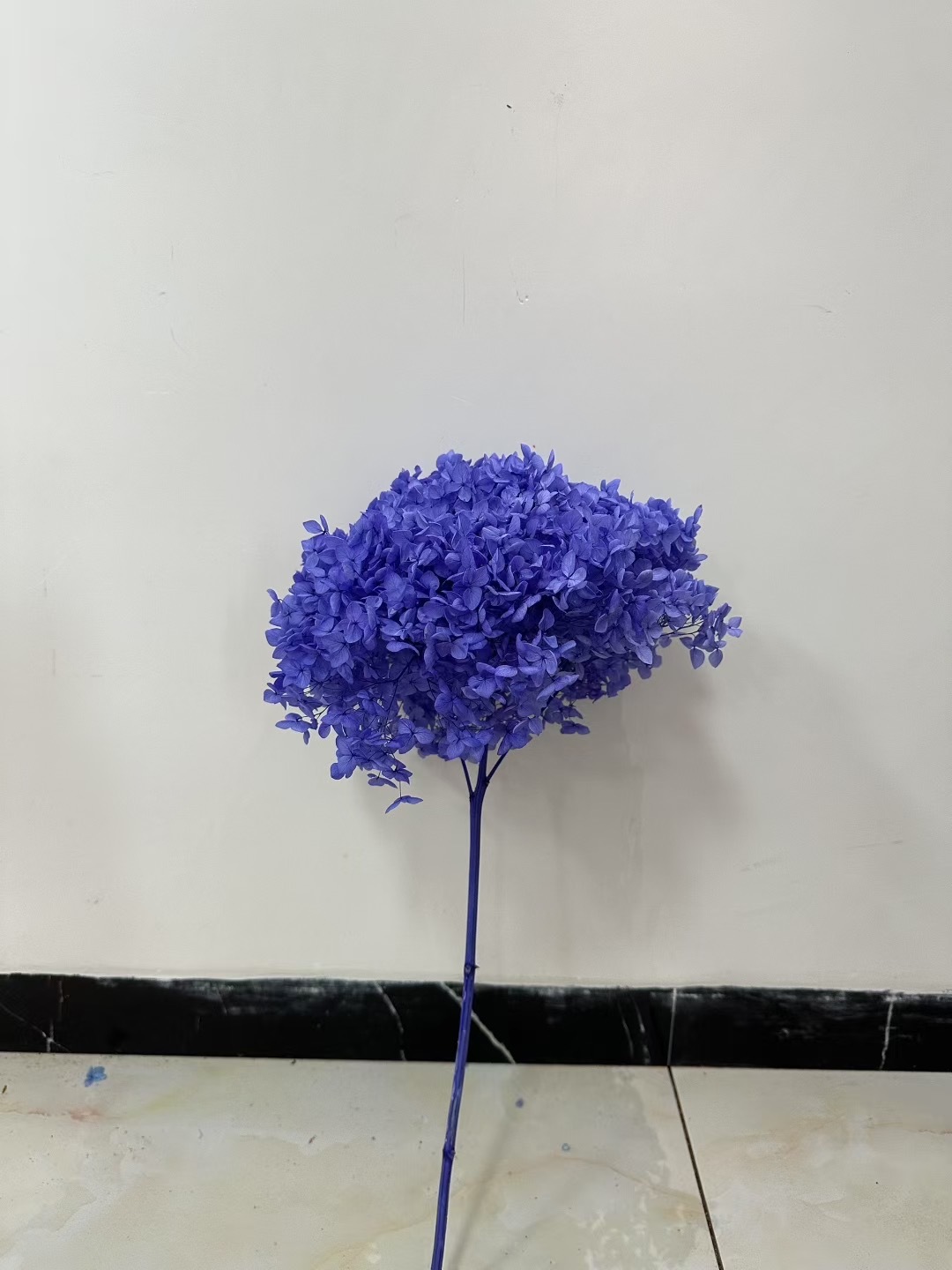 Violet foncé