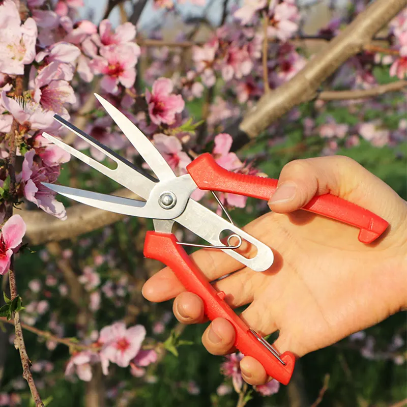 Gartengeräte Doppelkopf-Blumen schere aus Edelstahl Obst-Gemüse-Picking-Schere