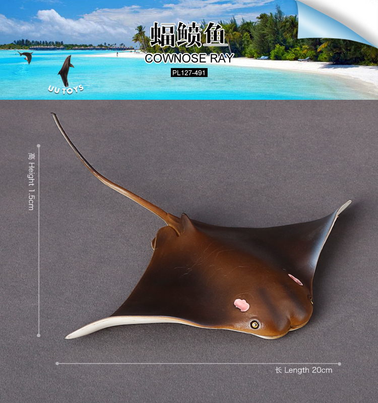 491 Cownose Ray