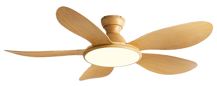 Grano de madera completo