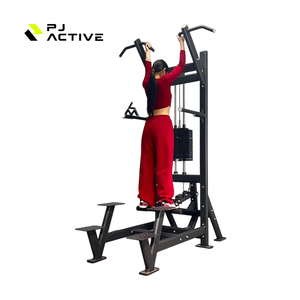 PJ çok fonksiyonlu güç Pull-Up eğitmen kol kıvırmak paralel barlar Fitness ekipmanları üretici yukarı çekin güç kulesi istasyonu - Product Image 1