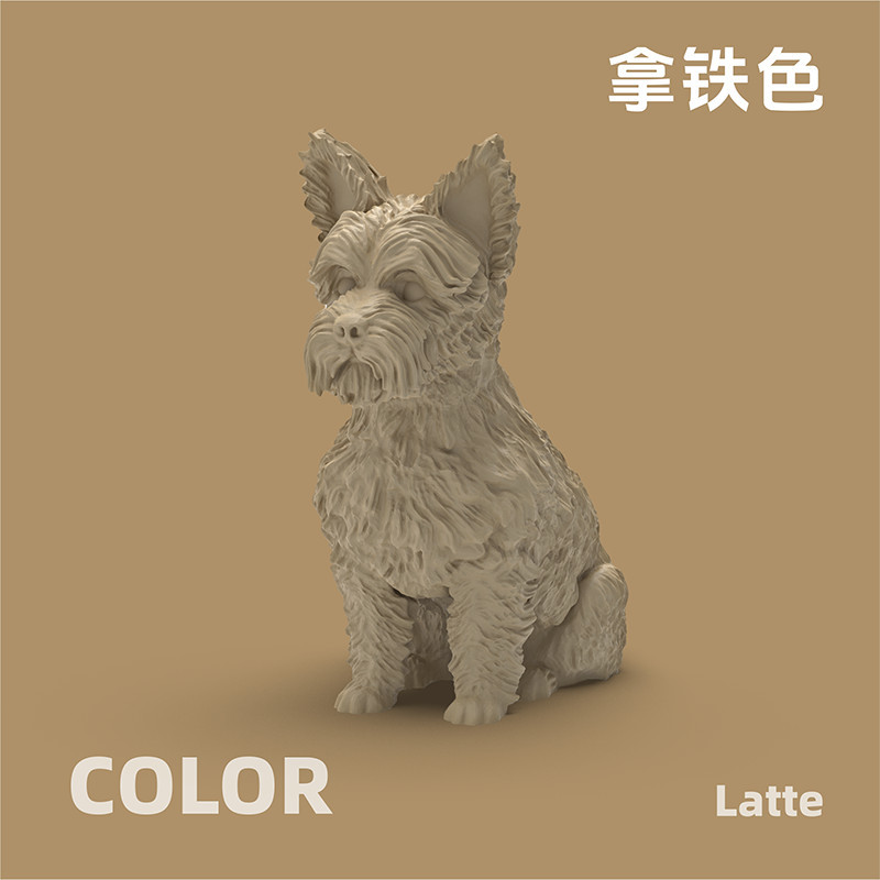 Latte