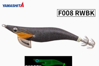 F008-RWBK/626-865