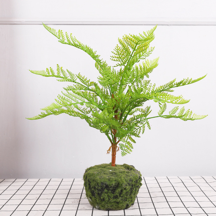 Petite branche de clématite