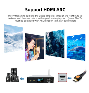 Amplificador de sistema de audio para el hogar BT RCA, entrada de fibra óptica LAN ARC, disco U, amplificador estéreo HiFi, compatible con micrófono - Product Image 3