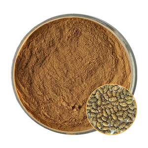 <span class=keywords><strong>Dendrobium</strong></span> Officinale özü tozu, 10:1, 20:1, 30:1; Suda çözünür <span class=keywords><strong>Dendrobium</strong></span> Officinale özü sprey özü tozu; - Product Image 1