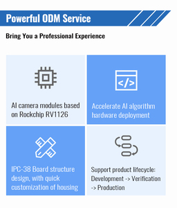 Network AI IPC Board Rv1126 <strong>IP</strong> <strong>Camera</strong> Linux Development PCBA POE CCTV <strong>Camera</strong> Module Smart Analytics Human Face Intrusion - Product Image 3