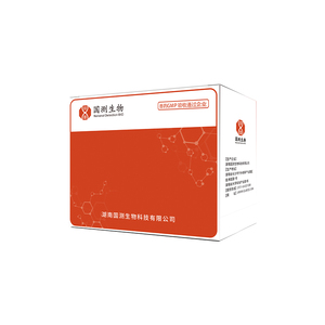 ชุดเครื่องมือตรวจวิเคราะห์สัตวแพทย์ Porcine circovirus Type 2 (PCV2) ชุดทดสอบ PCR แบบเรียลไทม์ - Product Image 5