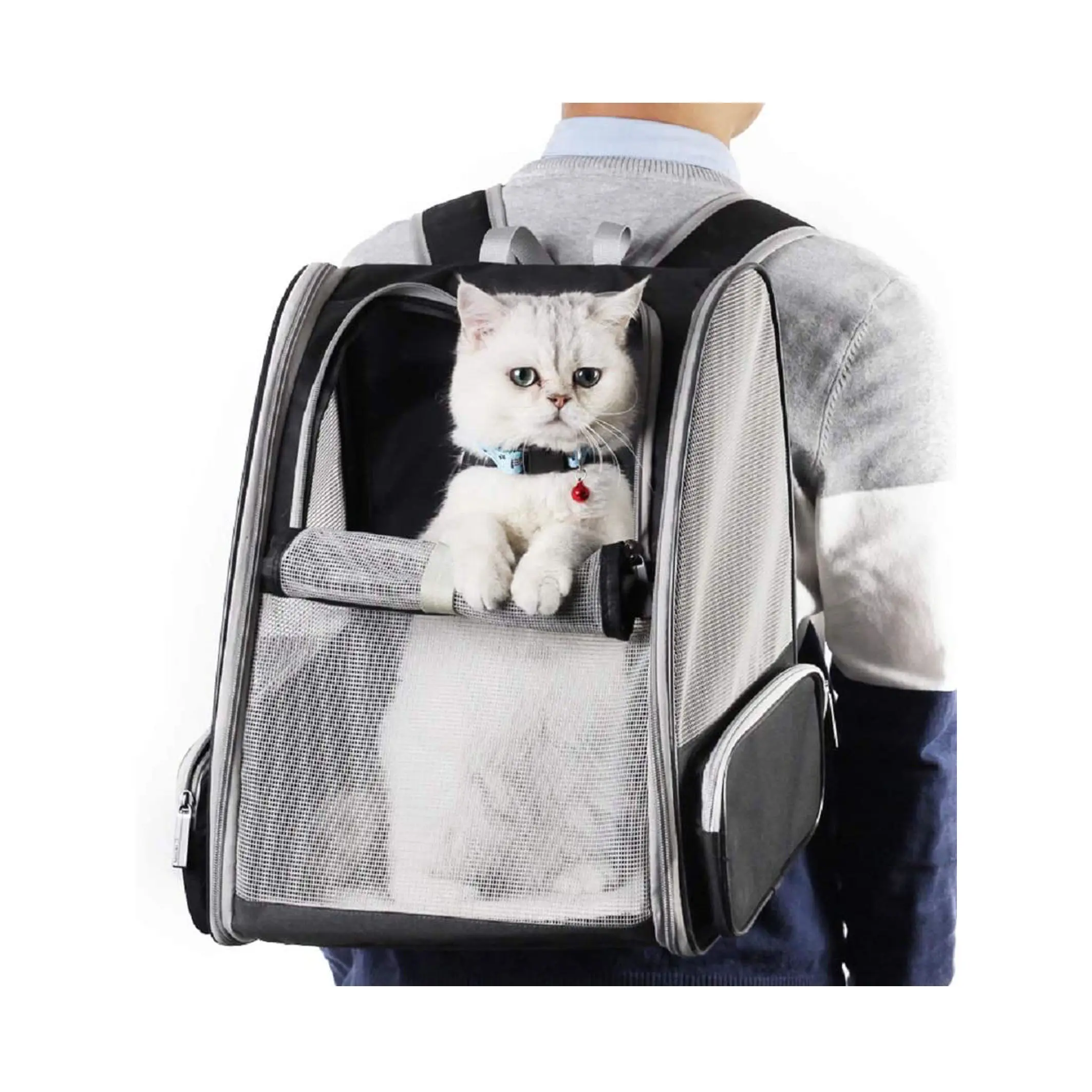 Porte-sac à dos pliable avec sangles de sécurité pour petit chien et chat