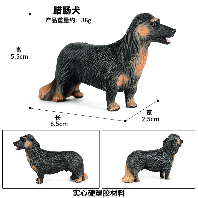 Zjs-148 Dachshund
