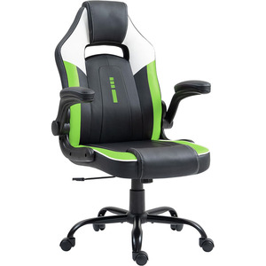 Free Sample High Back Sillas Gamer <strong>Computer</strong> Racing Chair Cadeira Chair Green <strong>Computer</strong> Gaming Chair for Adults and Kids - Product Image 1