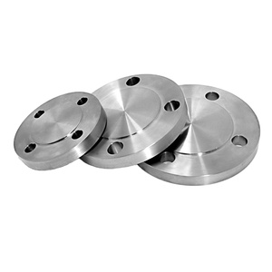 BJ Topti Trên Miếng Đệm Lỗ Mặt Bích Mù Chất Lượng Chuyên Nghiệp Mặt Bích MÙ ĐÔI Gr5 Gr2 - Product Image 1