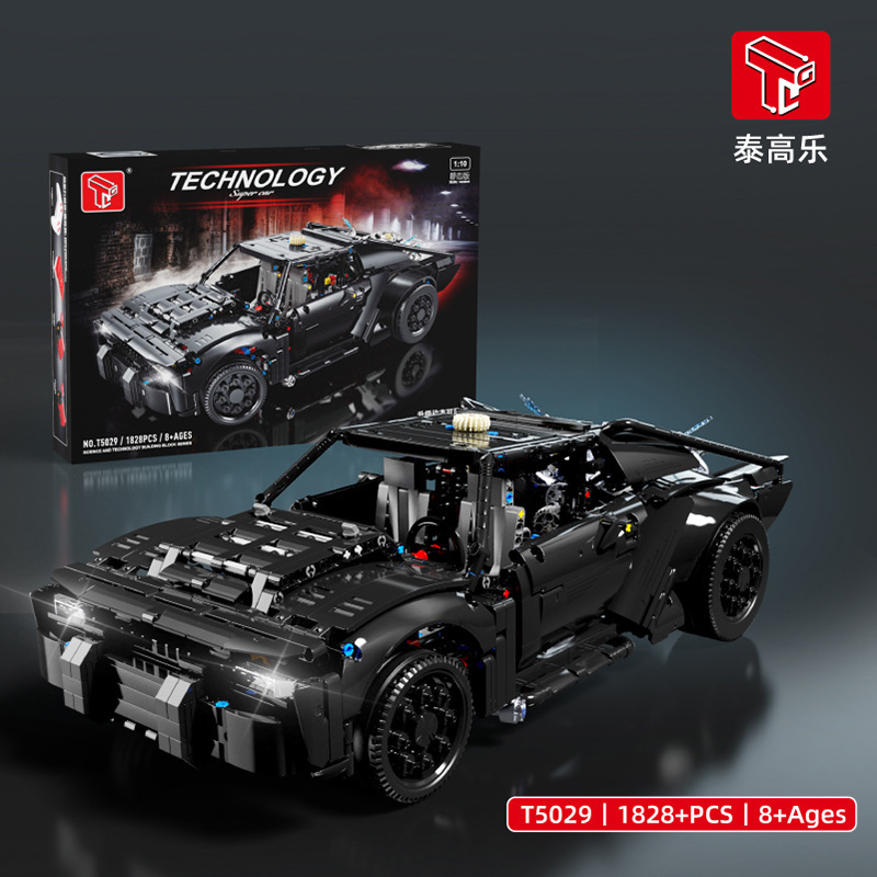 T5029