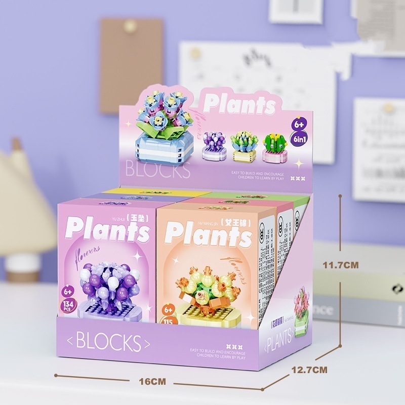 W1518 Pot à succulentes 1 lot de 6 boîtes commander par multiple de 6