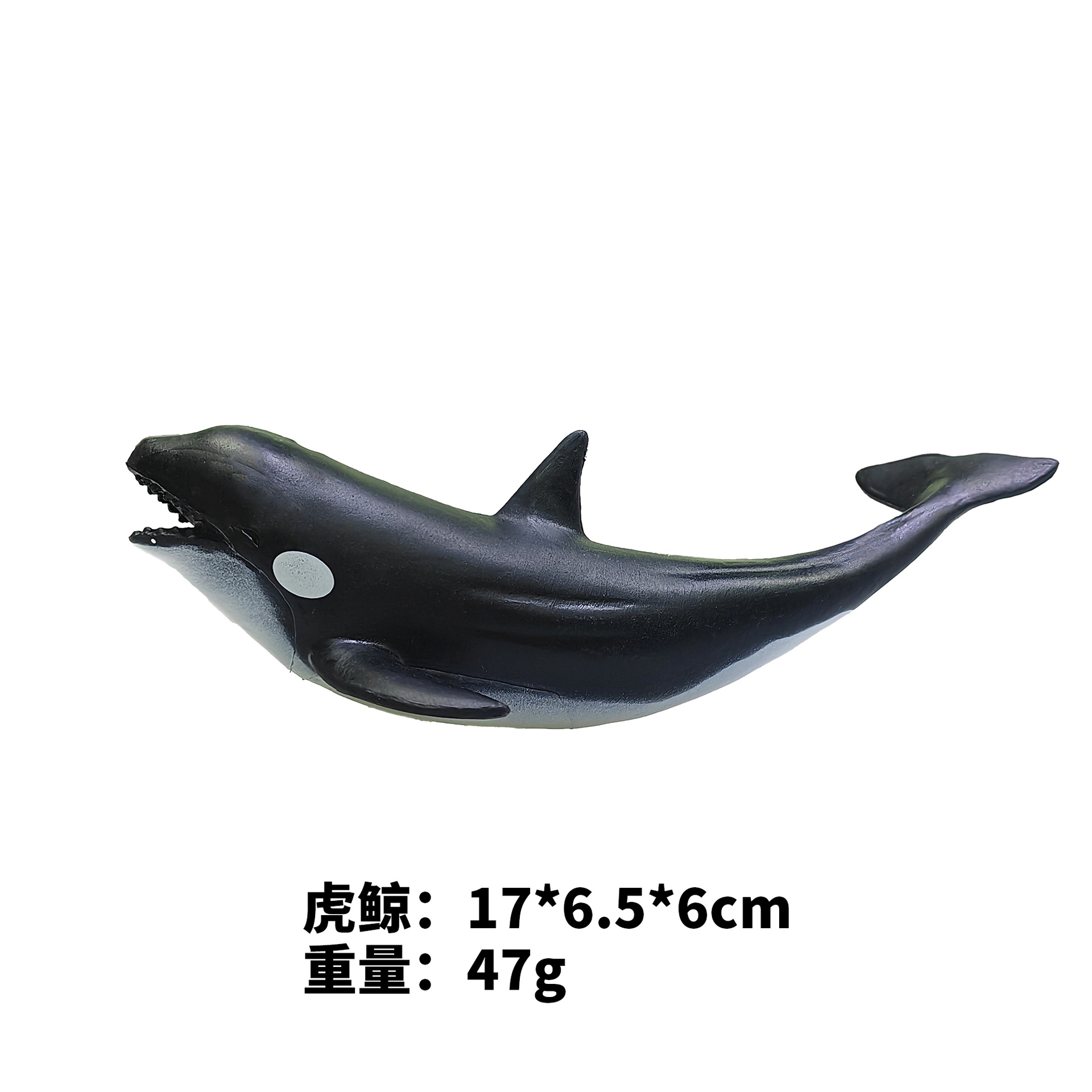 7-inch Killer Whale
