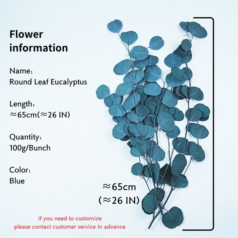 Bleu (Quantité: 100g/Bunch) est de 26 pouces de long
