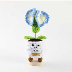Carnation gradient blue