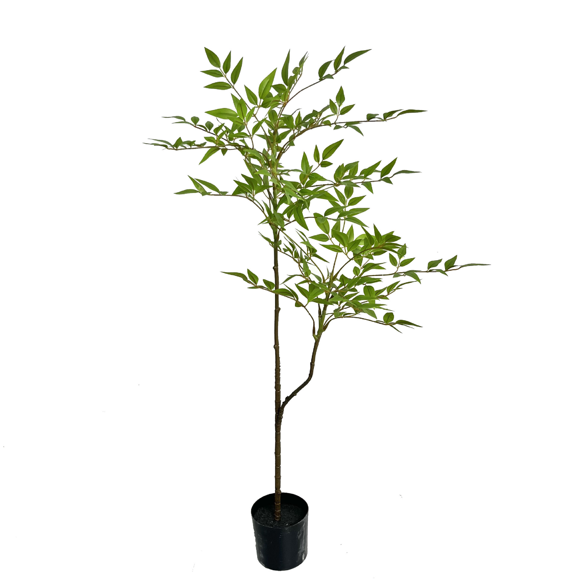 Nuevo nantianzhu verde-110cm