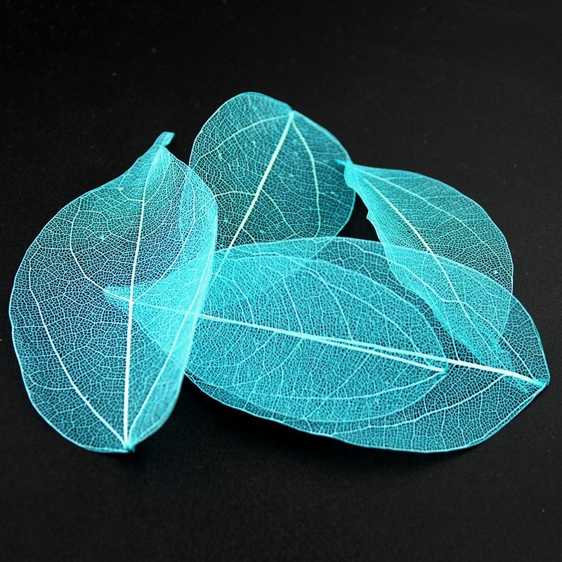 Blue Skeleton Leaves