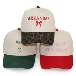 HBA54 özel 5 Panel bir çerçeve şapka kap üreticisi pamuk koşu spor için beyzbol şapkası Unisex 3D nakış logosu özel şapka - Product Image 5