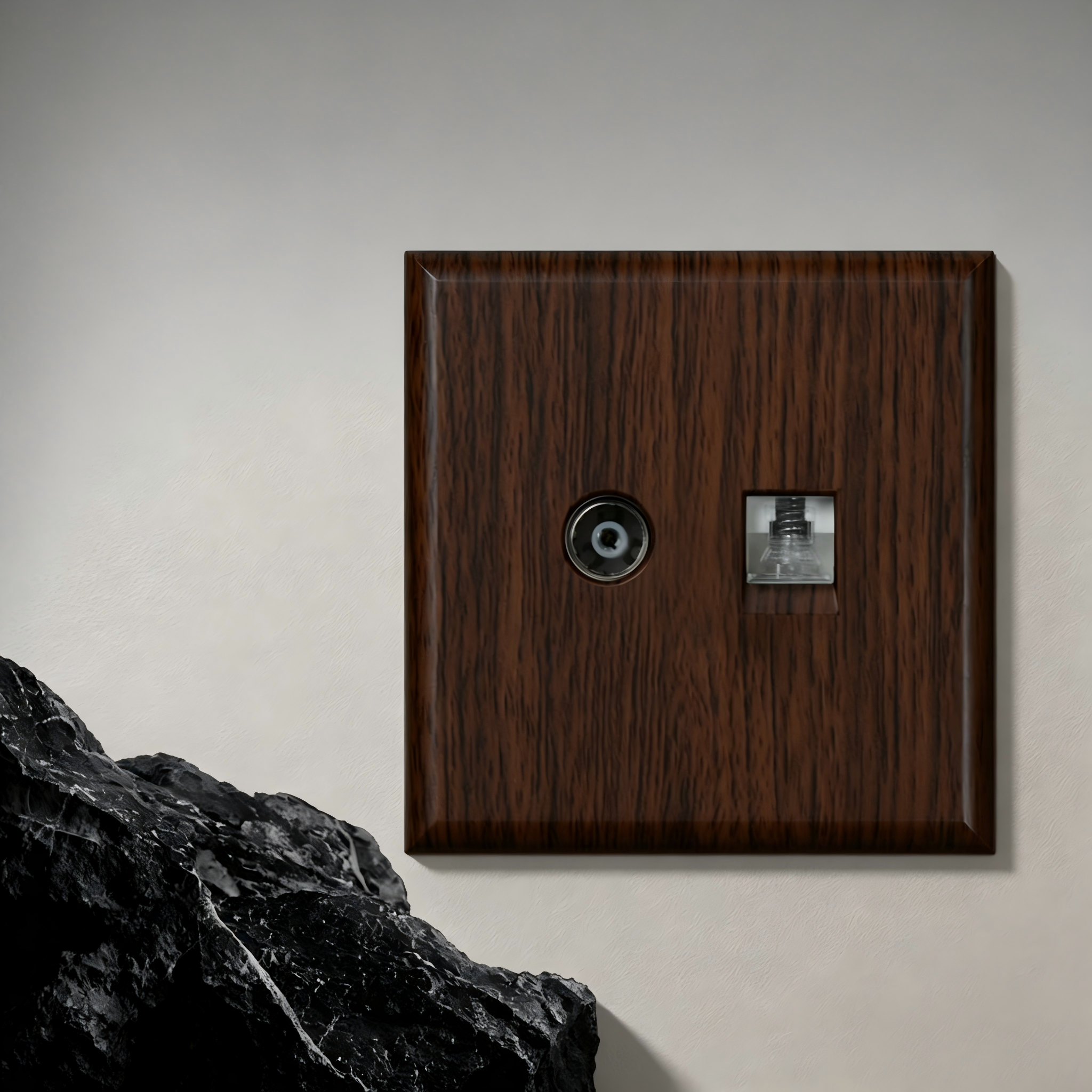 TV + DATA Socket